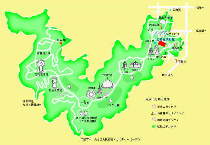 足羽山地図